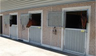 Stalldörrar